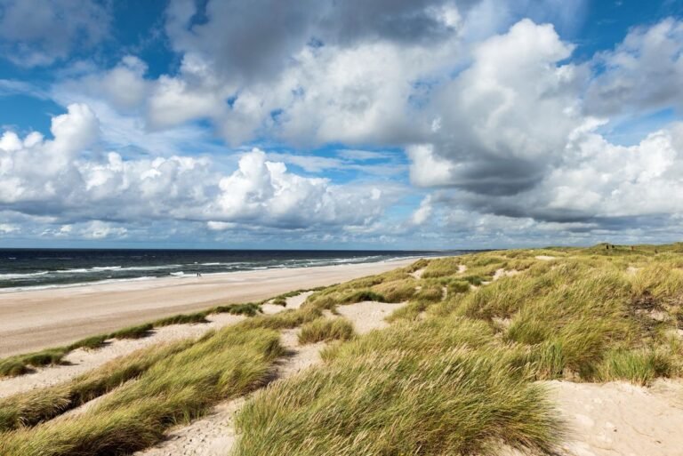 Breed Noordzeestrand met duinen en helmgras aan de Zeeuwse kust bij Roompot Beach Resort