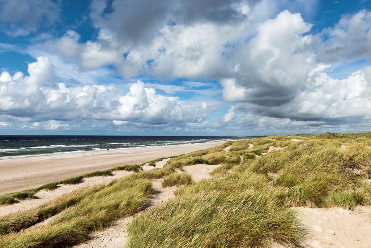 Breed Noordzeestrand met duinen en helmgras aan de Zeeuwse kust bij Roompot Beach Resort