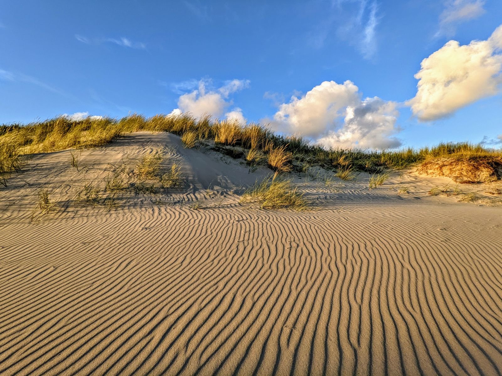 Zonovergoten duinen en Noordzeestrand bij Kamperland in Zeeland