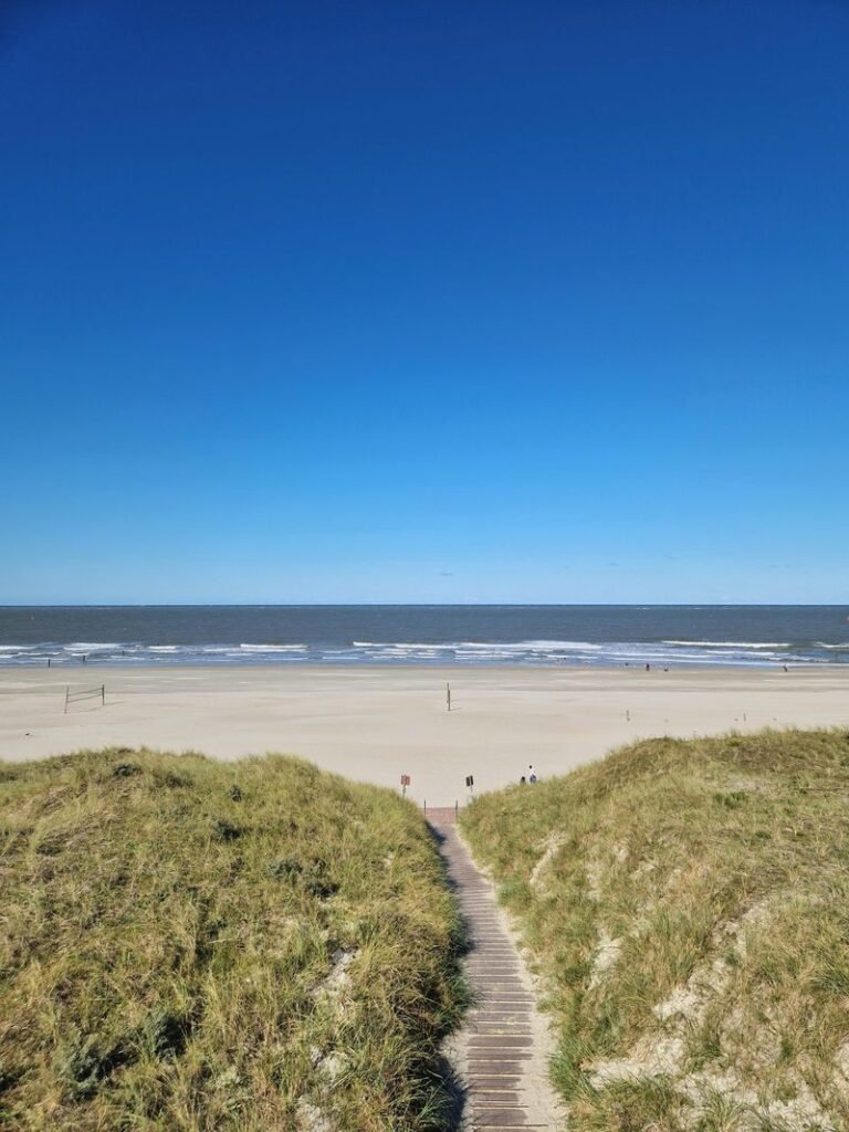 Rustig Noordzeestrand met duinen bij een vuurwerkvrij vakantiepark aan zee