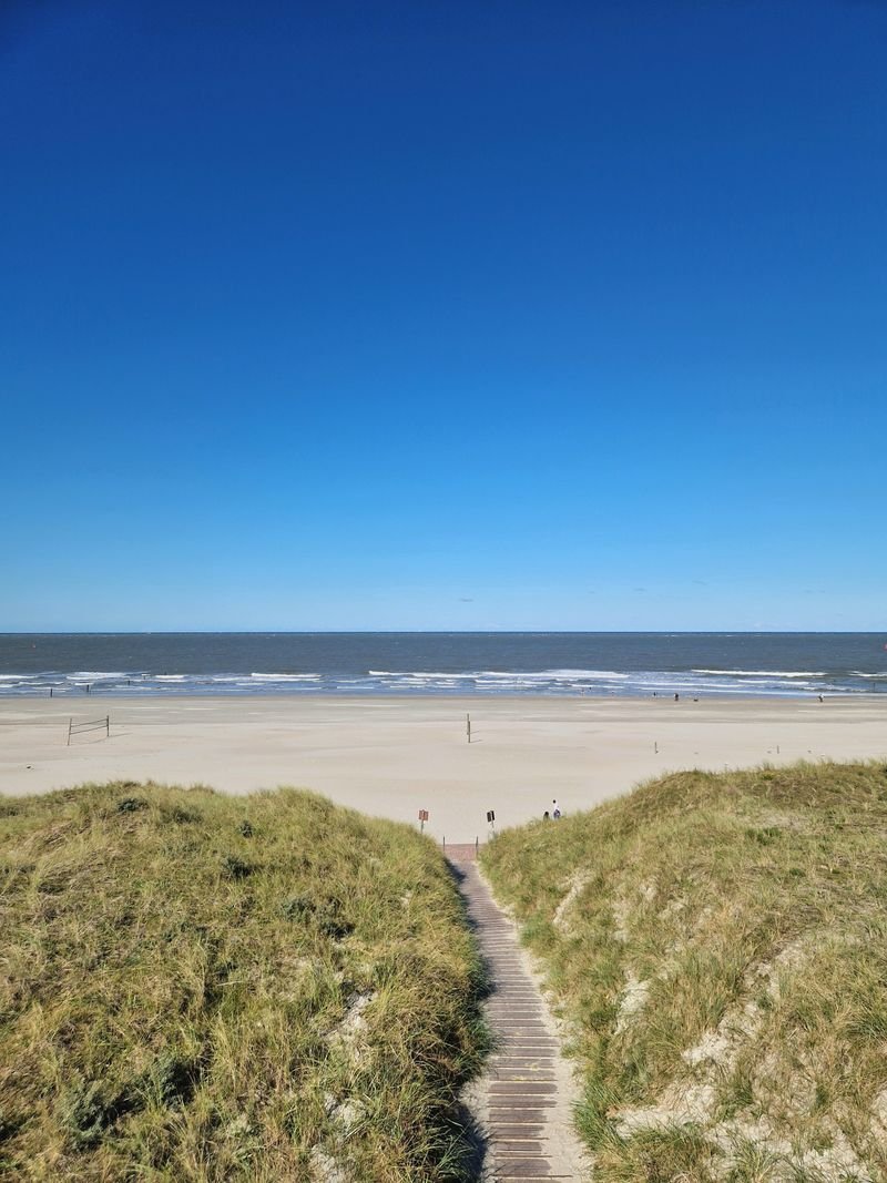 Rustig Noordzeestrand met duinen bij een vuurwerkvrij vakantiepark aan zee