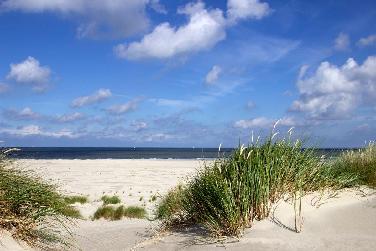 Breed Noordzeestrand met duinen bij Egmond aan Zee