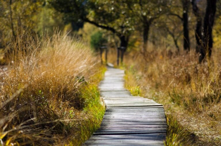 Wandelpad door de natuur in de Vlaamse Ardennen bij Oudenaarde