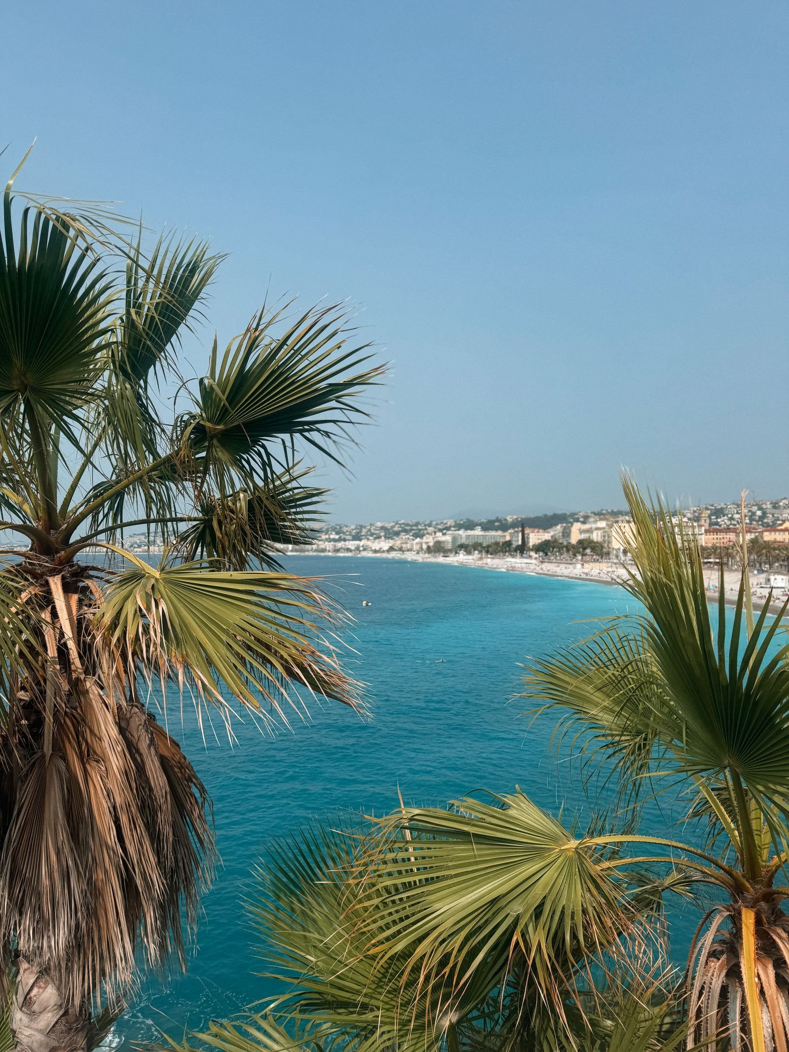Turquoise Middellandse Zee en palmbomen aan de Zuid-Franse kust
