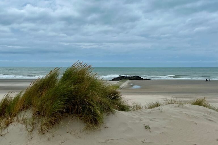Breed Noordzeestrand met duingras bij Kijkduin, vlak bij Vakantiepark Kijkduin