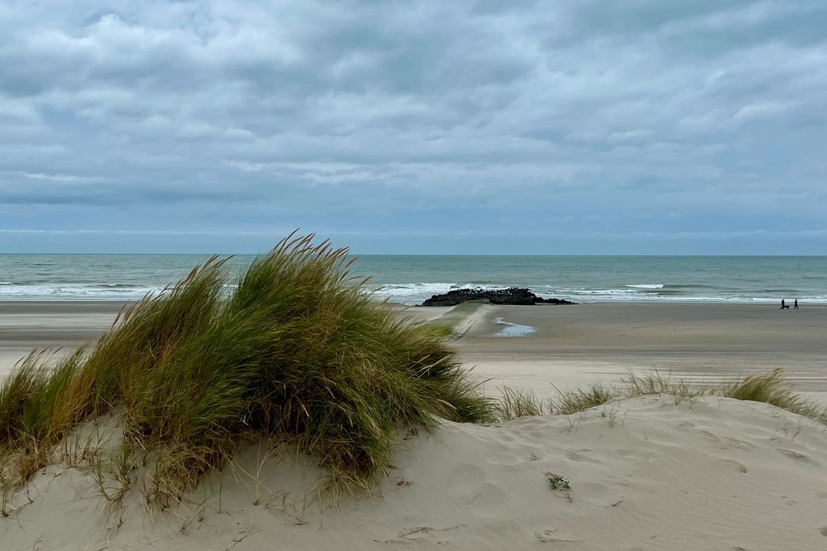 Breed Noordzeestrand met duingras bij Kijkduin, vlak bij Vakantiepark Kijkduin
