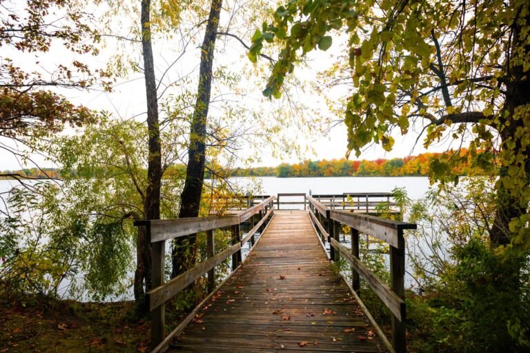 Houten vlonderpad naar een meer omzoomd door groen en herfstkleuren bij Center Parcs Villages Nature Paris