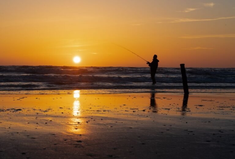 Persoon vist met een werphengel op het Noordzeestrand bij zonsondergang