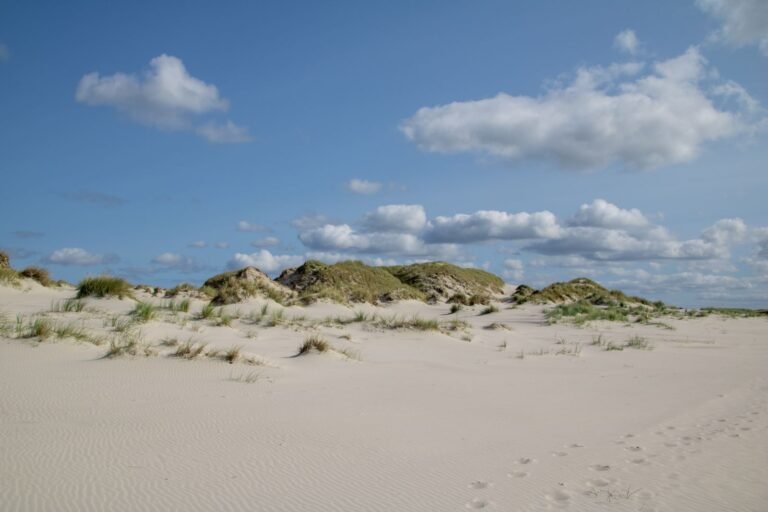 Banjaardstrand met duinen bij Kamperland