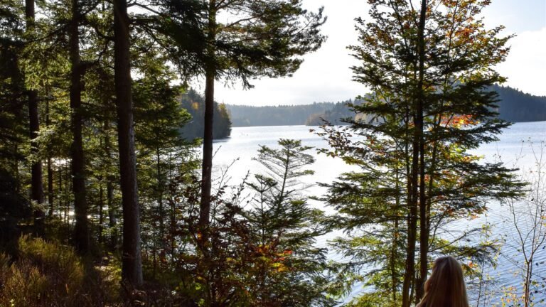 Rustig meer omringd door groen bos in Frankrijk, sfeerbeeld bij Center Parcs Villages Nature Paris