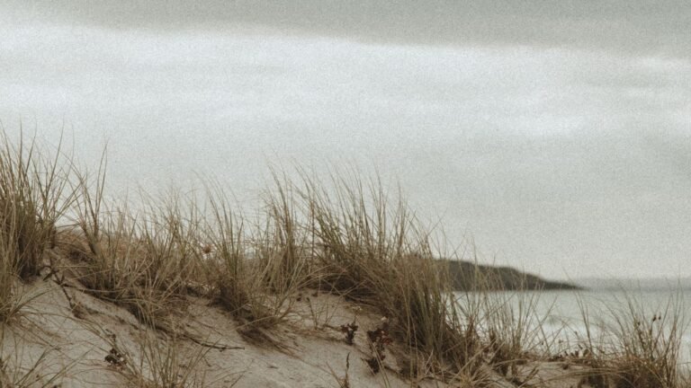 Breed Noordzeestrand met duinen bij Kamperland in Zeeland