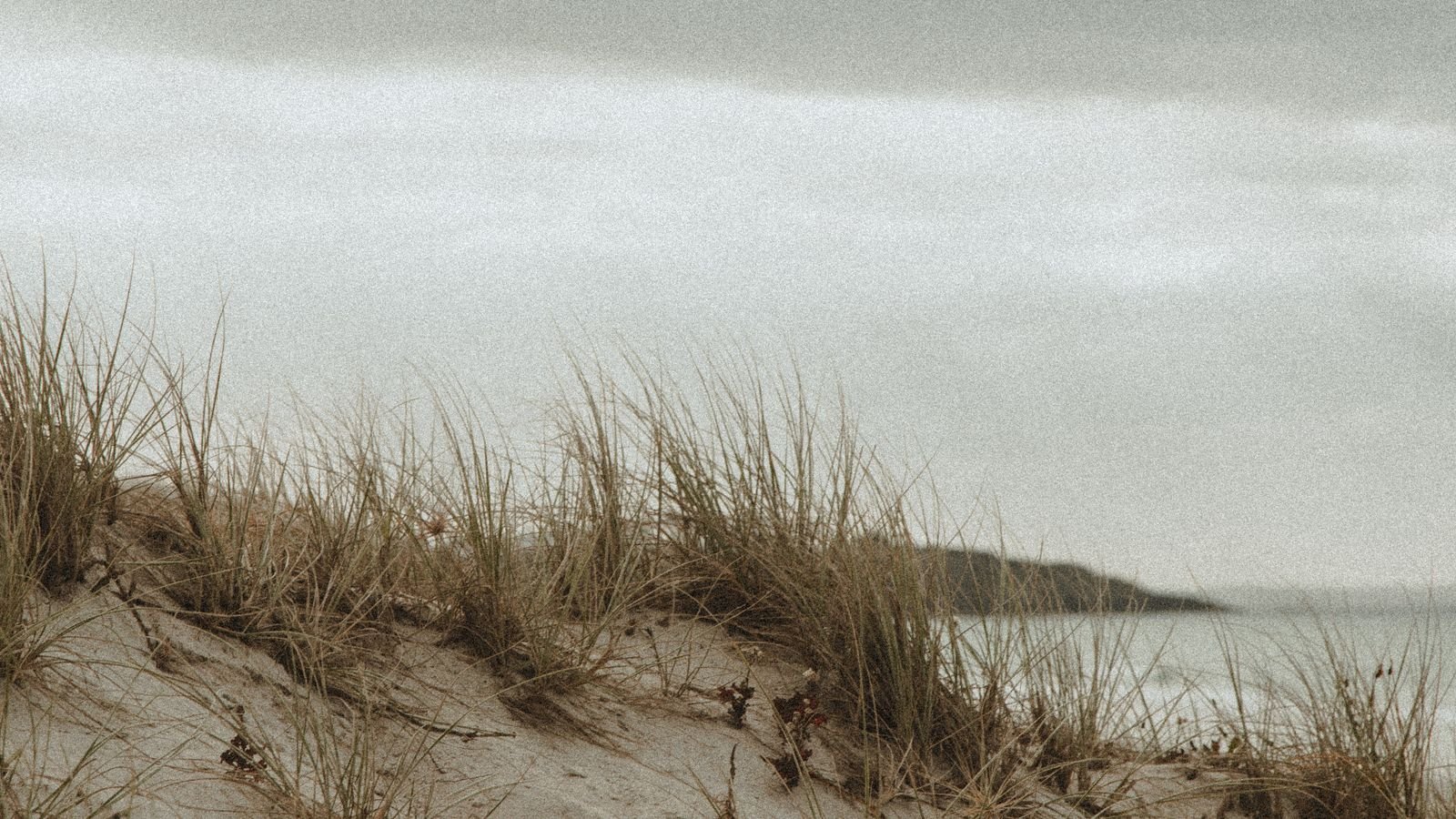 Breed Noordzeestrand met duinen bij Kamperland in Zeeland