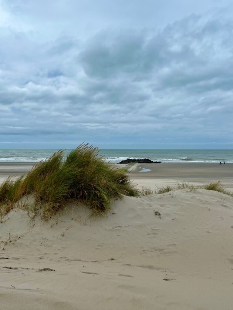 Strand met duinen bij Roompot Beach Resort Kamperland in Zeeland