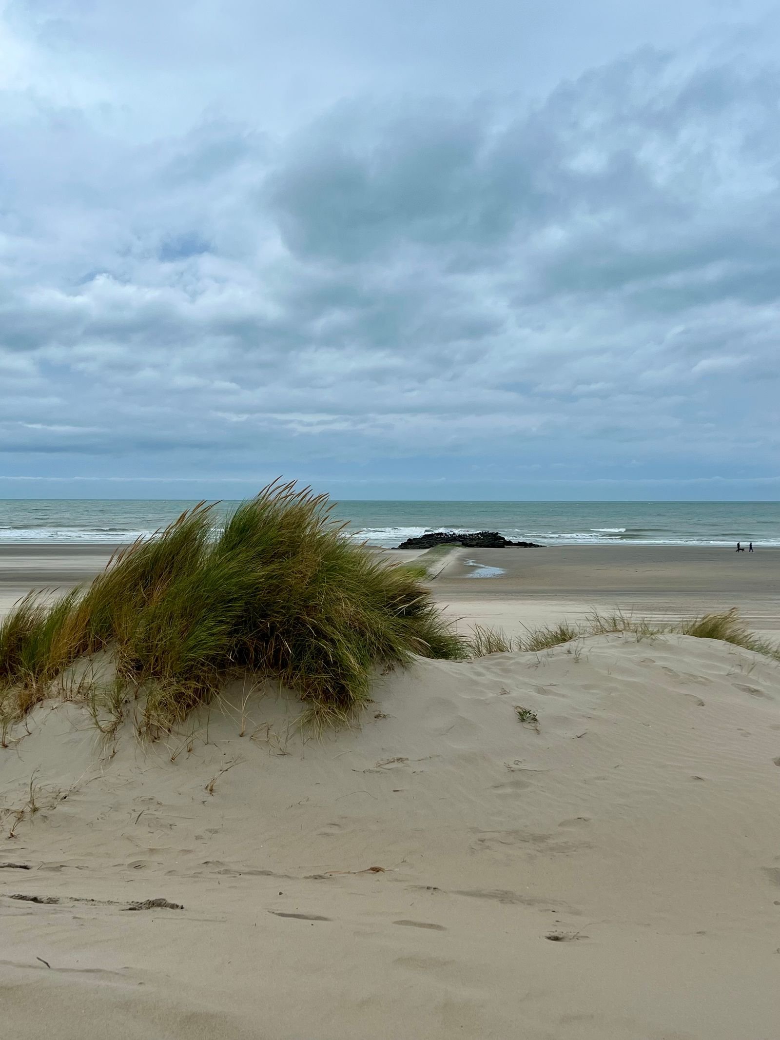 Strand met duinen bij Roompot Beach Resort Kamperland in Zeeland