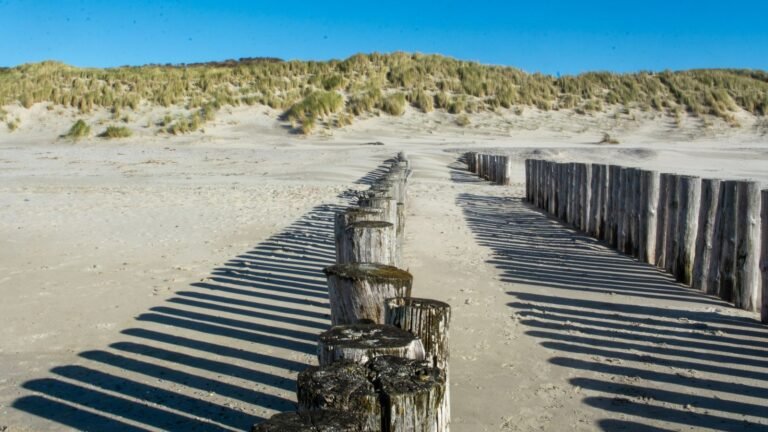 Strand met duinen en paalhoofden aan de Zeeuwse kust bij Roompot Beach Resort Kamperland