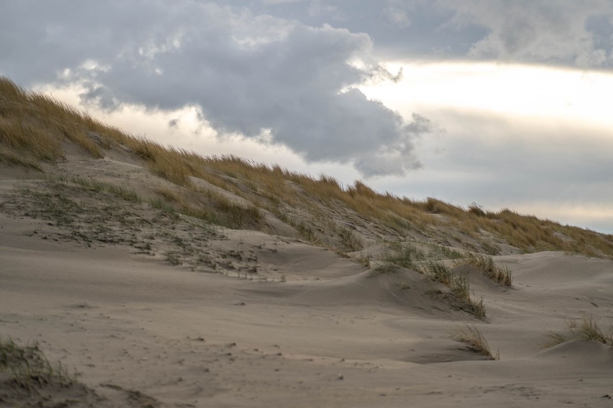 Duinen en strandgras aan de Zeeuwse kust bij Roompot Beach Resort