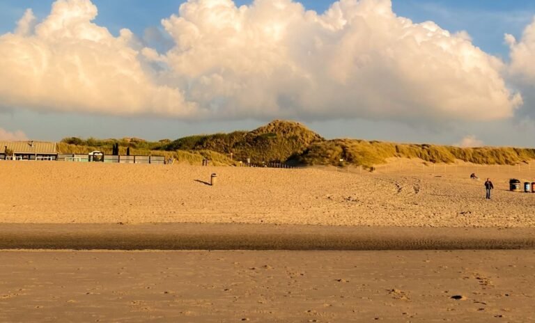 Noordzeestrand met duinen bij een Zeeuws vakantiepark