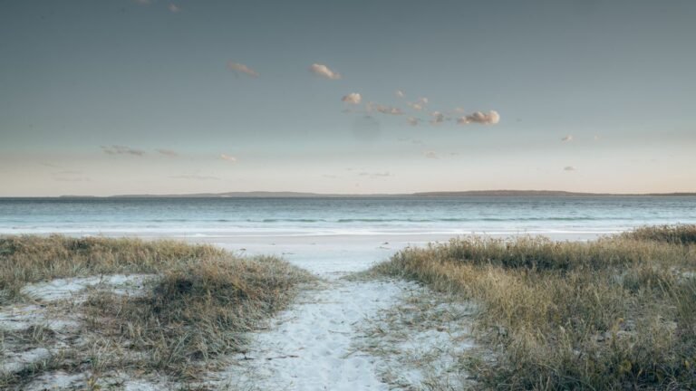 Duinpad door het helmgras naar het Noordzeestrand bij Roompot Duinpark 't Hof van Haamstede op Schouwen