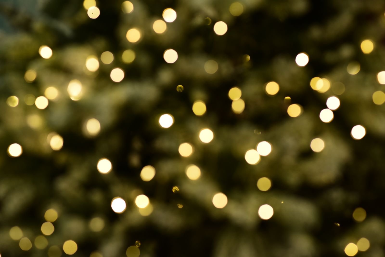 Gouden kerstlichtjes in een kerstboom, plannen voor de kerstvakantie 2027