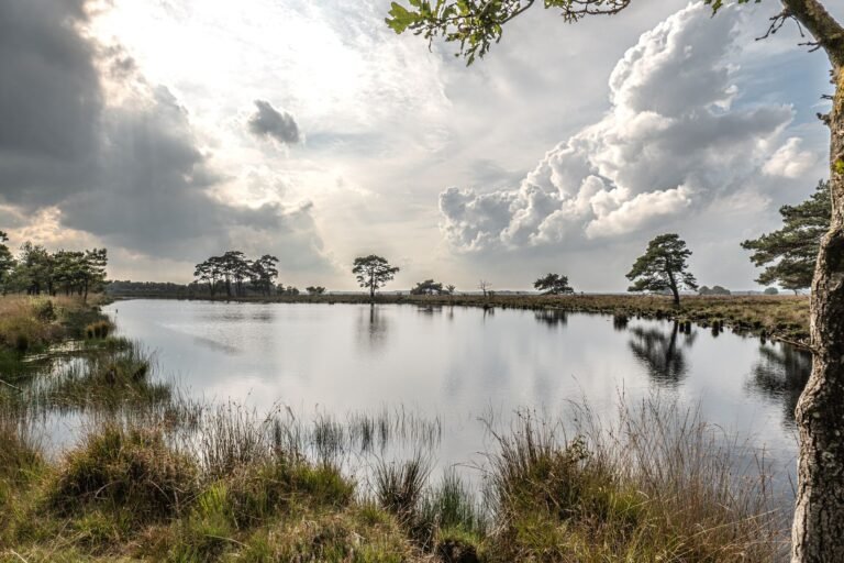 Ven met heide en wolkenlucht in Drenthe, natuur rond nieuwe vakantieparken in Nederland