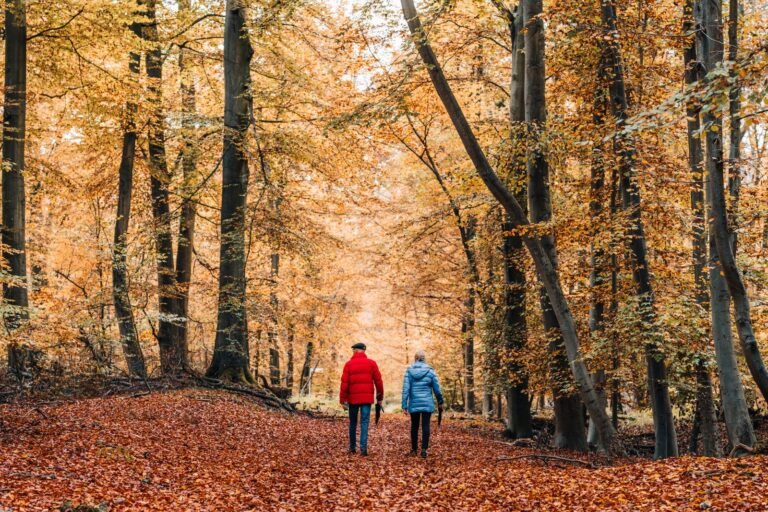 Stel wandelt door een herfstbos tijdens een romantisch weekendje weg in Nederland