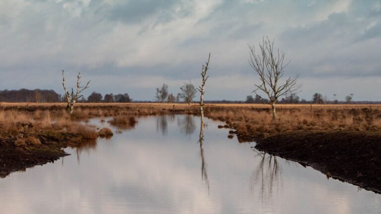 Natuur en water bij Roompot Domein de Schatberg in Limburg