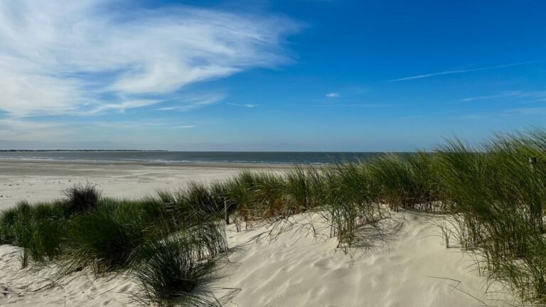 Noordzeestrand met duinen en helmgras, Roompot vakantieparken in Nederland