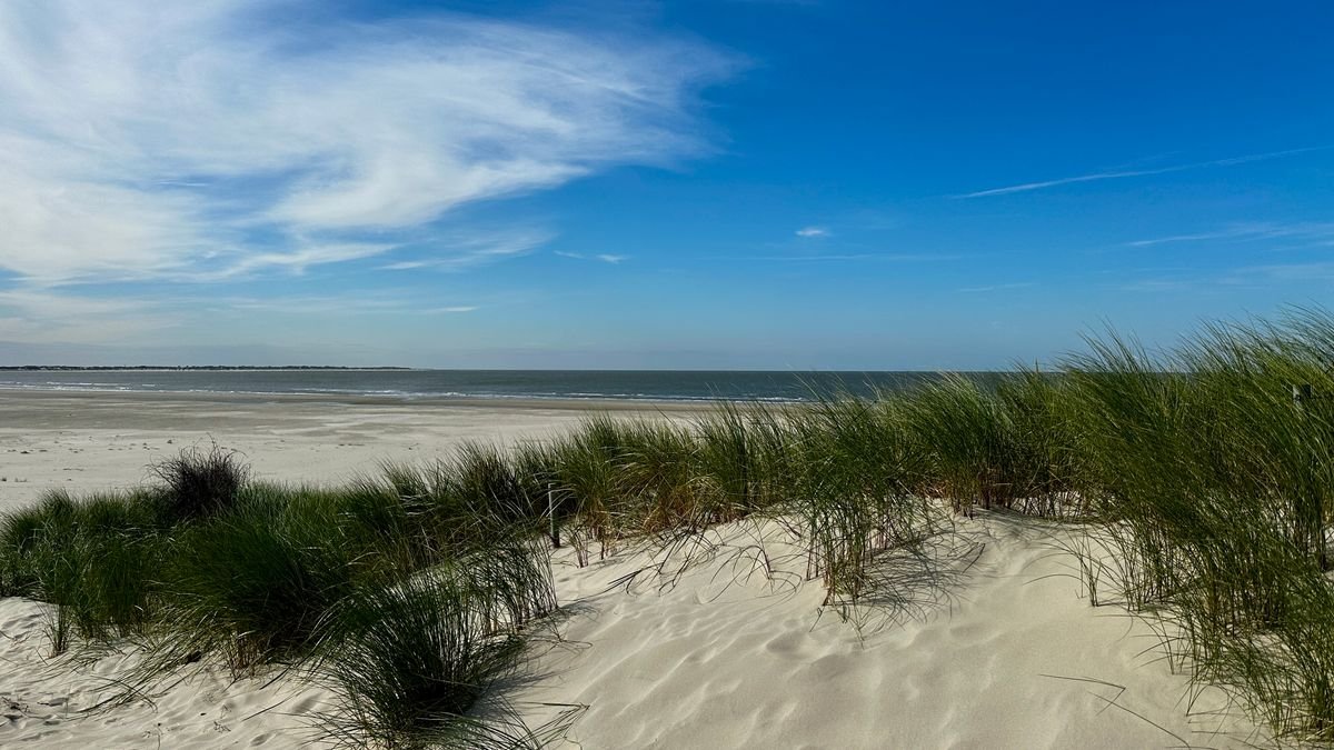 Noordzeestrand met duinen en helmgras, Roompot vakantieparken in Nederland