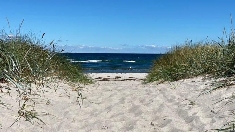 Zonnig Noordzeestrand met duinen en helmgras tijdens de zomervakantie bij Roompot