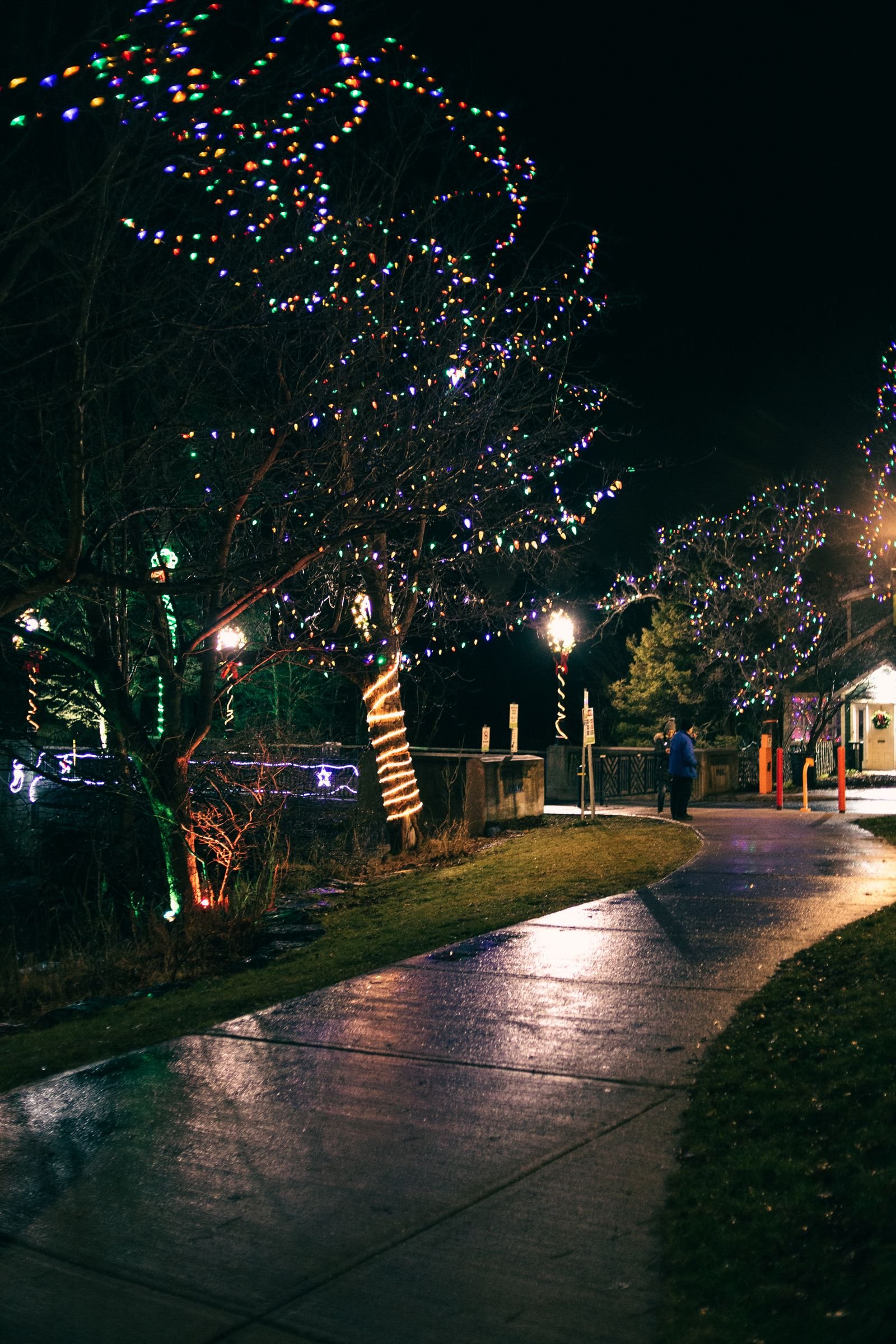 Wandelpad in een park met lichtjes in de bomen bij avond